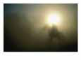 A Person on a Horse is Silhouetted in the Fog