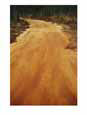 A Dirt Road Traveling Through a Forest Scenic Streets & Roadways