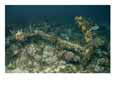 An Encrusted Anchor Sits on the Ocean Floor off the Coast of Key Largo, Florida