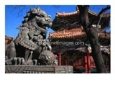 Lion Statue at Lama Temple Bejing, China