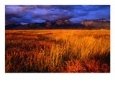 Mission Mountains at Sunset in the Flathead Indian Reservation, Montana, USA