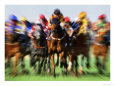 Horse Race in Motion