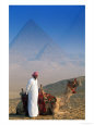 Man and Camel at Pyramids, Cairo, Egypt