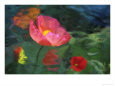 Impressionistic Poppies