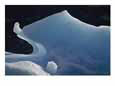 Iceberg