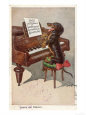 Musical Dachshund Plays a Tune on the Piano