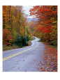 Hollywood Rd at Route 28, Adirondack Mountains, NY