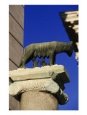 The Wolf with Romuls and Remus, Rome, Italy