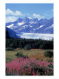 Mendenhall Glacier, Tongass NF, AK