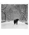Couple Walking Through Central Park, NYC