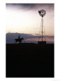 Silhouette of Cowboy and Horse Near Windmill