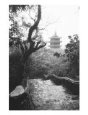View Marble Mountain, Temple, Danang