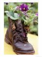 Flower Boot, Country Village Shops and Cafes, WA