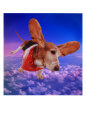Basset Hound in Space