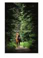 Horseback Riding on an Emerald Lake Lodge Bridle Trail