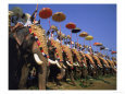 The Great Elephant March, Trissur, Kerala, India