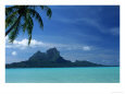 Palm Tree, Water and Island, Bora Bora, Tahiti
