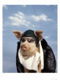 Pig Dressed As Pilot
