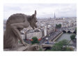 Notre Dame Gargoyle, La Cite Island, Paris, France