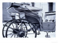 Detail of Horse Drawn Carriage, Austria
