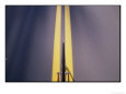 View from the Front of a Speeding Bicycle