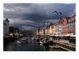 Tourist Boat Cruises Nyhavn, New Harbor, Along the Scenic Canal in Copenhagen