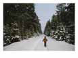 Polish Child Walking on a Snowy Road in Bialowieza Forest