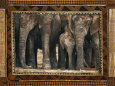 Elephants