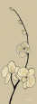 Gold Blossom Buds