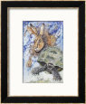 The Tortoise and the Hare