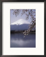 Lake Kawaguchi, Mount Fuji, Japan