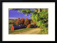 Red Barns Along Countryside, Vermont