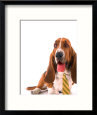 Dog with Dress Tie