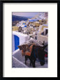 Horse Climbing Up Stairs, Oia, Santorini, Greece