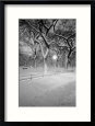 Snow Covered Promenade, Central Park