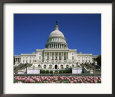 Capitol Building Washington, D.C. USA