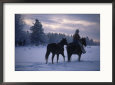 Cowboy Exercising Horses, BC, Canada