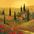 Poppies of Toscano II