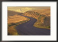 Gravel Road through Wheat and Pea Fields, Eastern Washington, USA