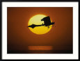 Silhouette of Airplane Against Sun