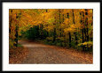 Rural Road in Autumn