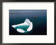 Towing an Iceberg Away from an Oil Platform