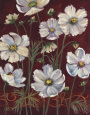 California Cosmos