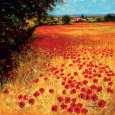 Field of Red and Gold