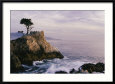Lone Cypress Tree on a Rocky Point Near Pebble Beach