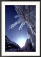 Sunlight Glints on the Bearded Face of Gangotri Glacier