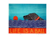 Life is a Ball
