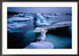 Well Sculptured Drift Ice, South Greenland, Greenland