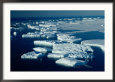 Antarctic Icebergs Surrounded by Pack-Ice, Antarctica