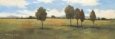 Valley of Gold I